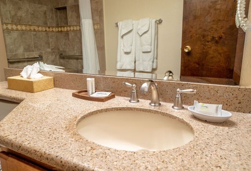 Апартаменты 1 Спальня, Heidelberg Inn