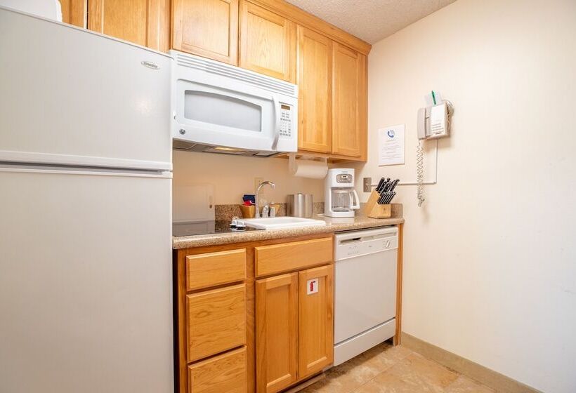 带1个卧室的公寓, Heidelberg Inn