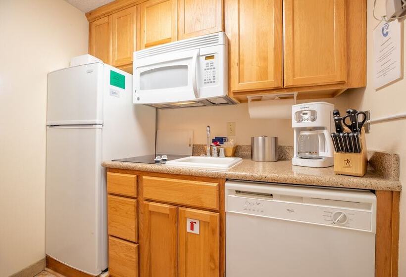 带1个卧室的公寓, Heidelberg Inn