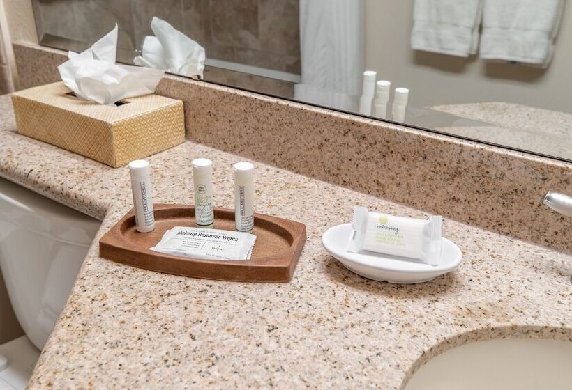 带2个卧室的公寓, Heidelberg Inn