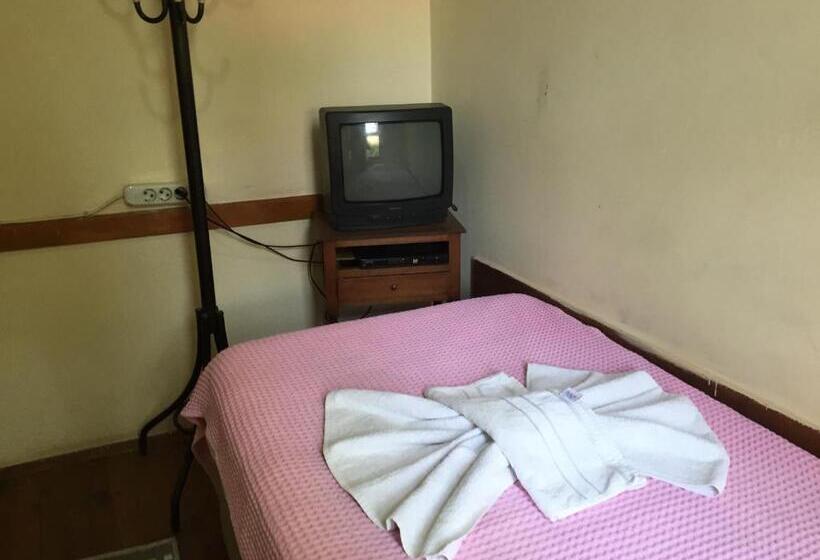 Standard Single Room, Kont Pension