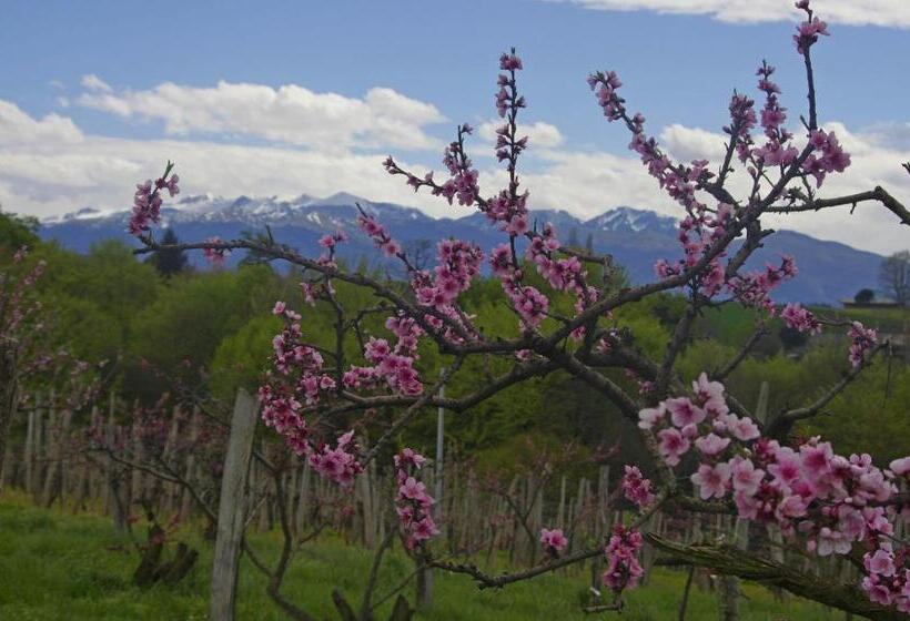 סוויטת 2 חדרי שינה, Pesaulhé