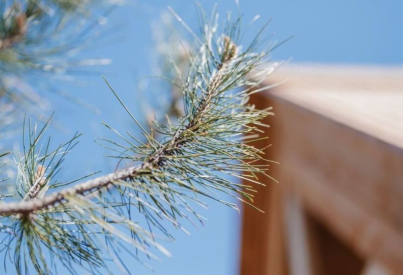 Хижина, Les Cabanes Du Dauphiné