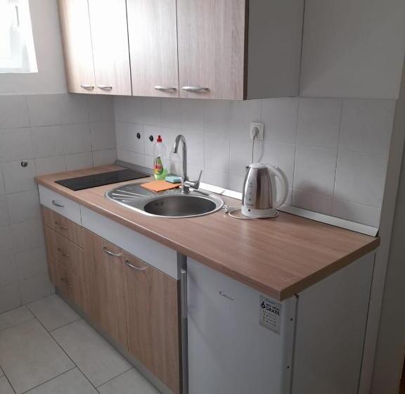 آپارتمان 1 خوابه با تراس, Apartments Dupin