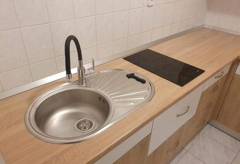 آپارتمان 1 خوابه, Apartments Dupin