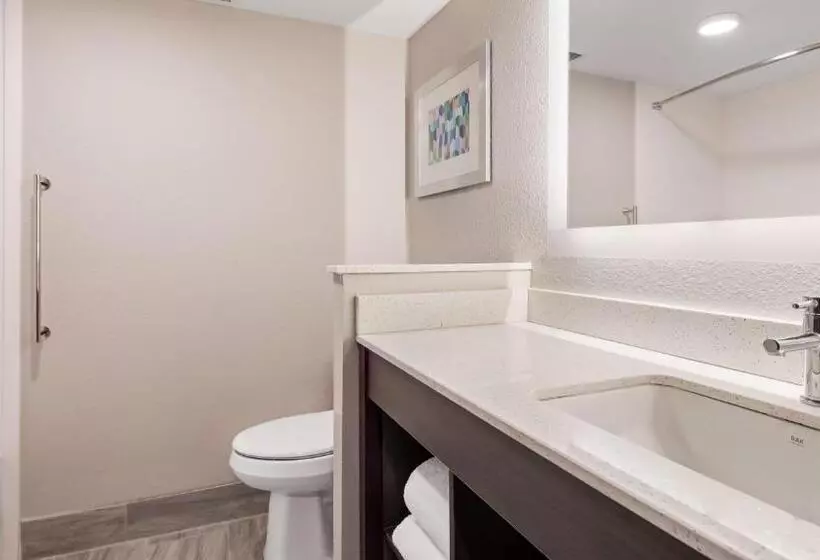 سوئیت با تخت بزرگ, Best Western Plus Executive Residency Nashville