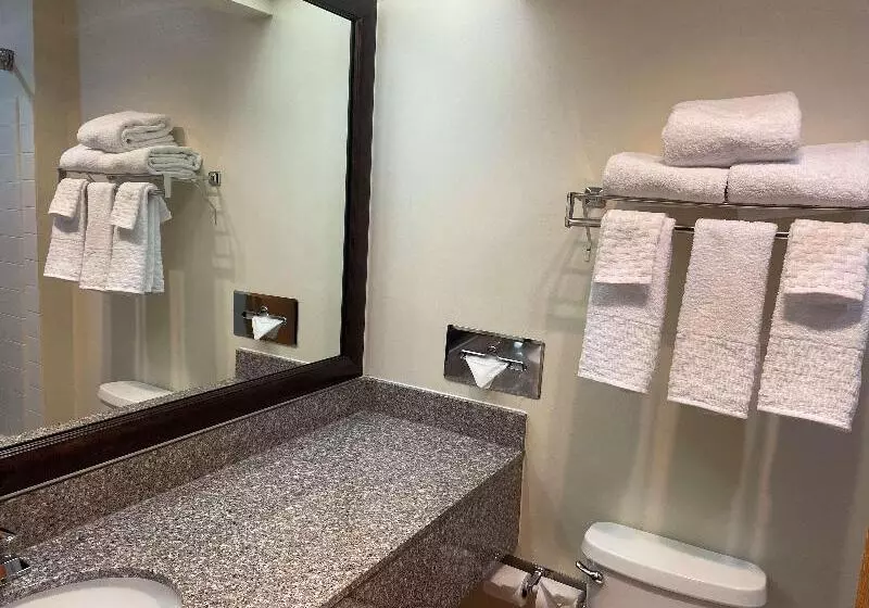 キングサイズベッドのスタンダードルーム, Best Western Socorro Hotel & Suites