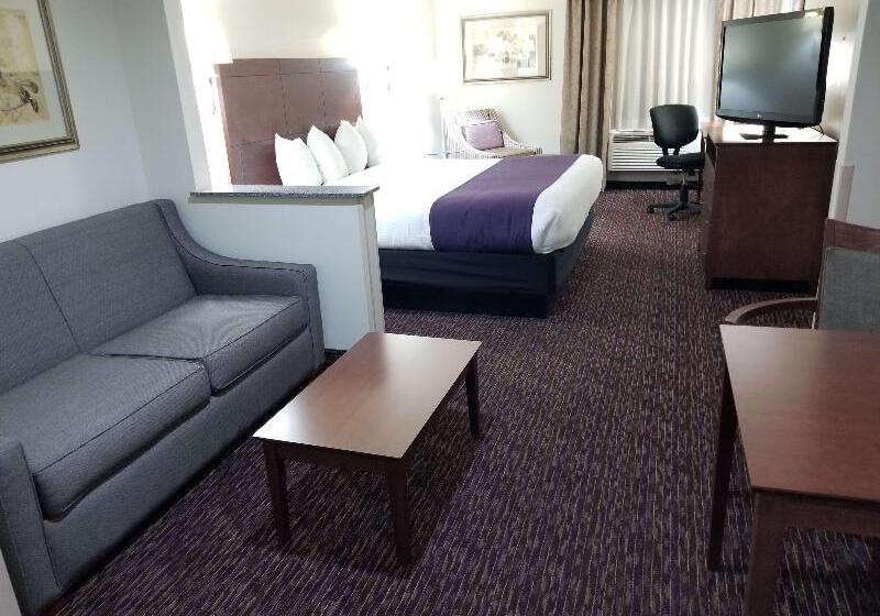 غرفة قياسية سرير كينج, Best Western Socorro Hotel & Suites