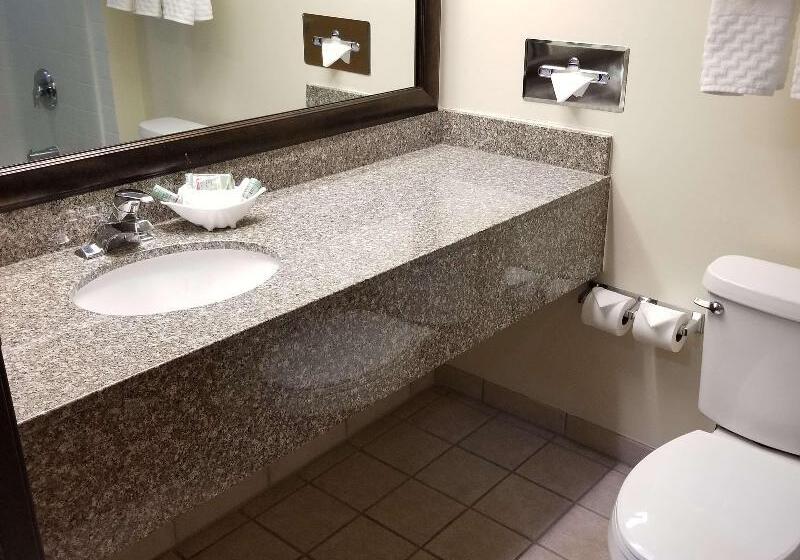 غرفة قياسية سرير كينج, Best Western Socorro Hotel & Suites