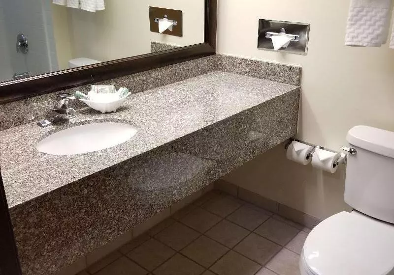 キングサイズベッドのスイートルーム, Best Western Socorro Hotel & Suites