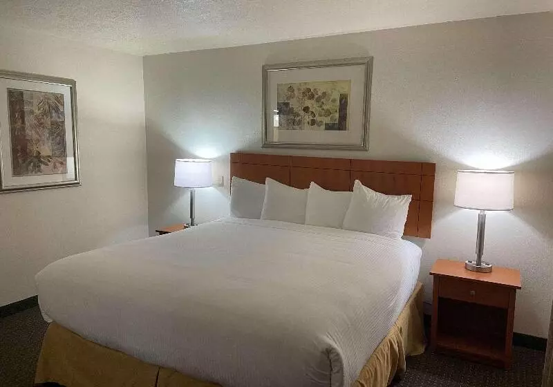キングサイズベッドのスイートルーム, Best Western Socorro Hotel & Suites