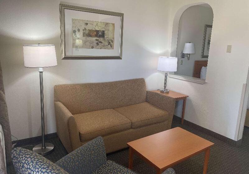 جناح سرير كينج, Best Western Socorro Hotel & Suites