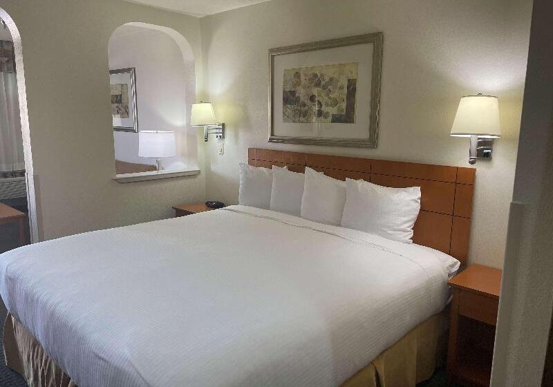 جناح سرير كينج, Best Western Socorro Hotel & Suites