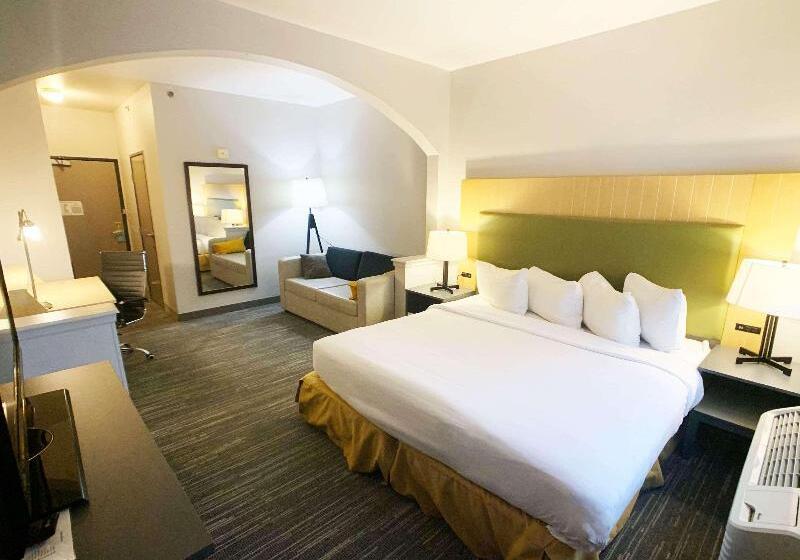 스탠다드 룸 킹사이즈 침대, Country Inn & Suites By Radisson, Fort Worth West L30 Nas Jrb