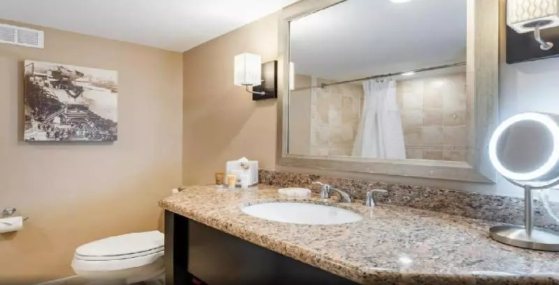 اتاق استاندارد با تخت بزرگ برای معلولان, Crowne Plaza Orlando Downtown, An Ihg