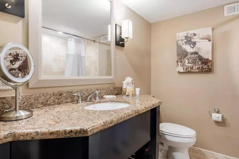 اتاق استاندارد با تخت بزرگ, Crowne Plaza Orlando Downtown, An Ihg