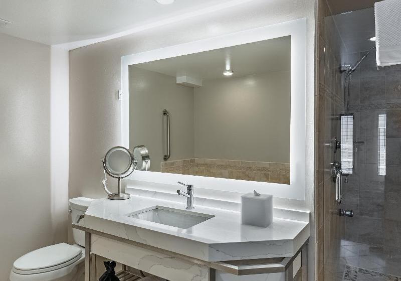 带大床的套房, Crowne Plaza Orlando Downtown, An Ihg