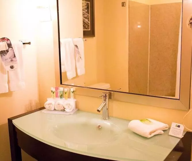 身障者適用スイートルーム, Holiday Inn Express & Suites Chattanooga Hixson, An Ihg