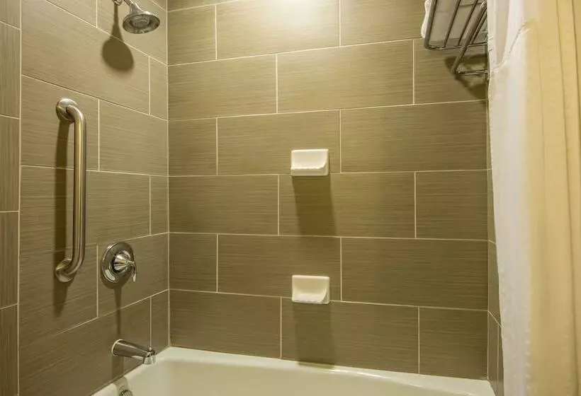 سوییت, Holiday Inn Express Hotel & Suites Hobbs By Ihg