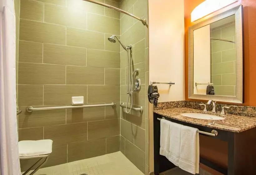 اتاق استاندارد, Holiday Inn Express Hotel & Suites Hobbs By Ihg