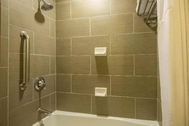 اتاق استاندارد با تخت بزرگ, Holiday Inn Express Hotel & Suites Hobbs By Ihg