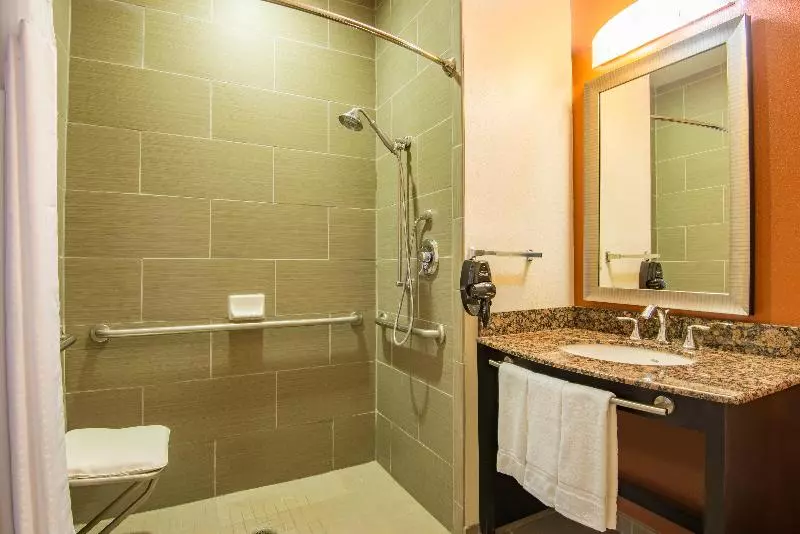 اتاق استاندارد با تخت بزرگ, Holiday Inn Express Hotel & Suites Hobbs By Ihg