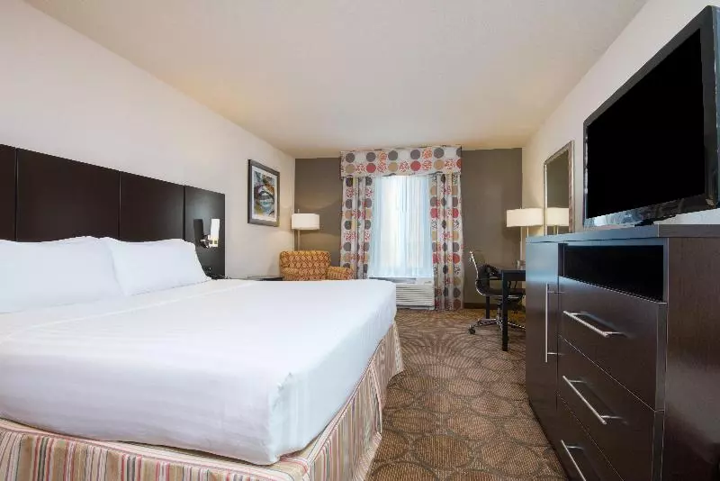 اتاق استاندارد با تخت بزرگ, Holiday Inn Express Hotel & Suites Hobbs By Ihg
