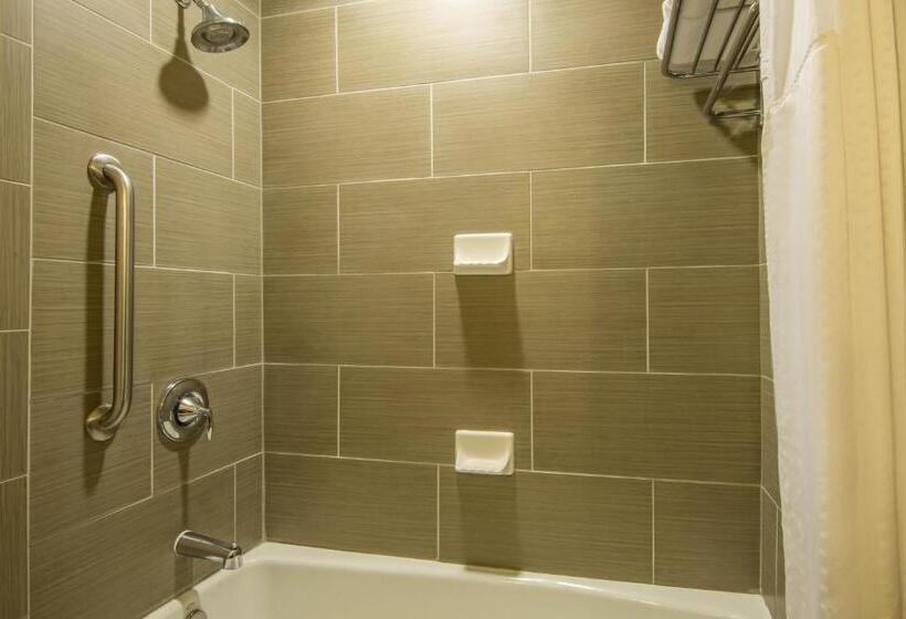 스위트 킹사이즈 침대, Holiday Inn Express Hotel & Suites Hobbs By Ihg