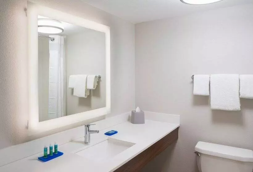 ダブルベッドスタンダードルーム, Holiday Inn Express Boca Raton   West, An Ihg