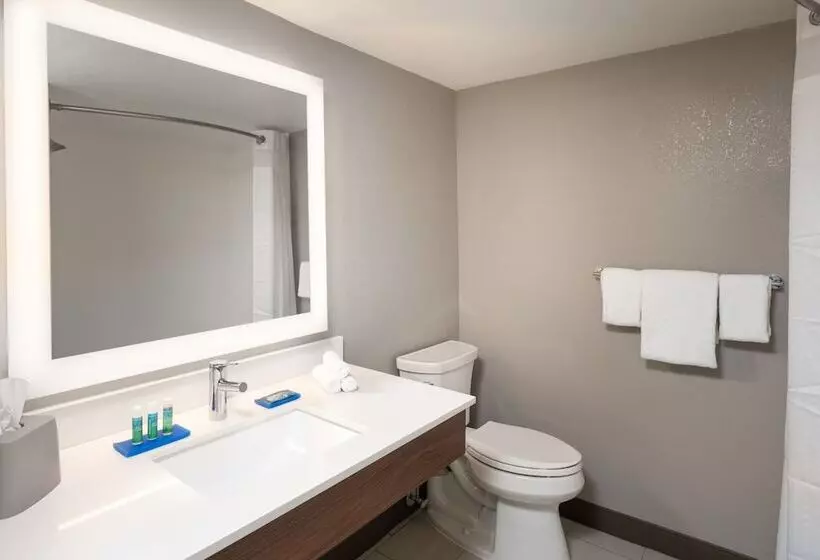 ダブルベッドスタンダードルーム, Holiday Inn Express Boca Raton   West, An Ihg