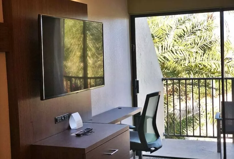 スタンダードルーム, Holiday Inn Express Boca Raton   West, An Ihg
