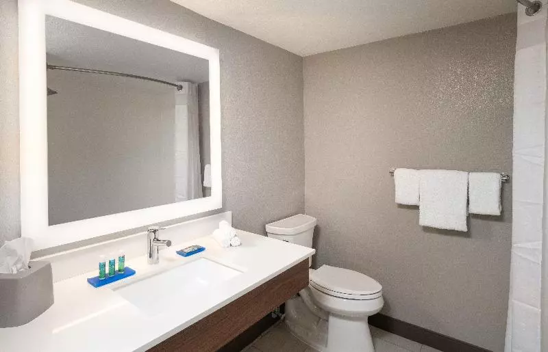 キングサイズベッドのスタンダードルーム, Holiday Inn Express Boca Raton   West, An Ihg