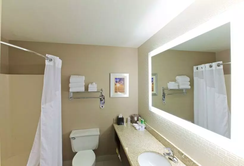 اتاق استاندارد برای معلولان, Holiday Inn Express Fargo   West Acres, An Ihg