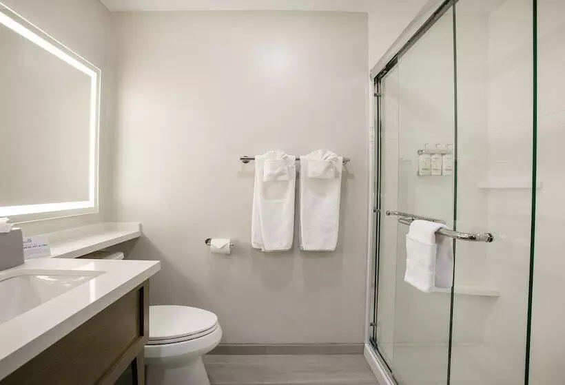 Standard-huone, Holiday Inn Express  North Palm Beach And Ihg