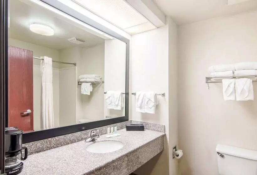 ２ダブルベッドのスタンダードルーム, Quality Inn Near University Of Mobile