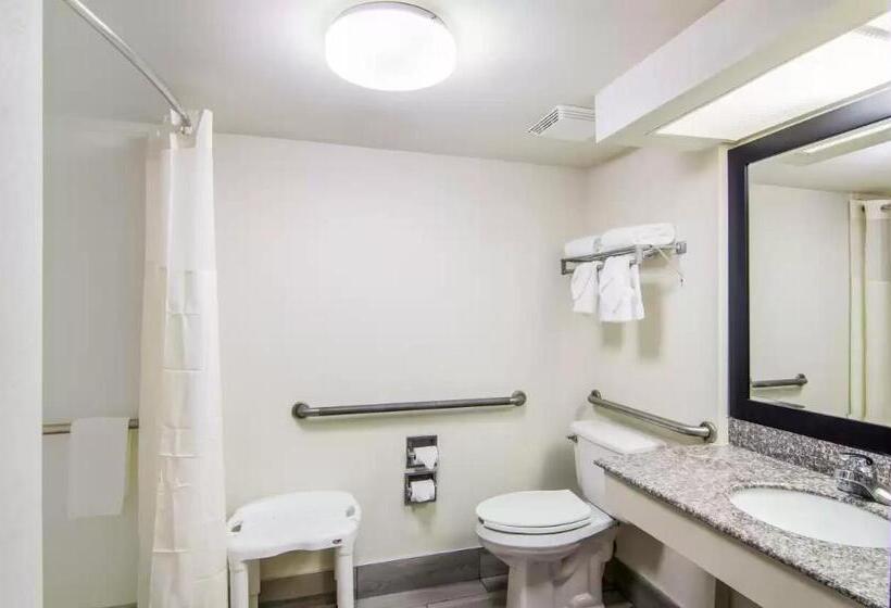 带大床的标准间, Quality Inn Near University Of Mobile