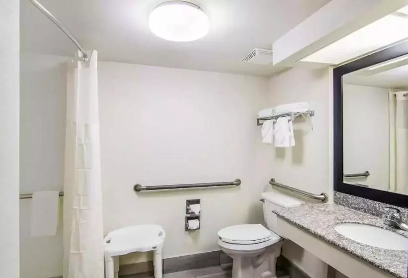 キングサイズベッドのスタンダードルーム, Quality Inn Near University Of Mobile