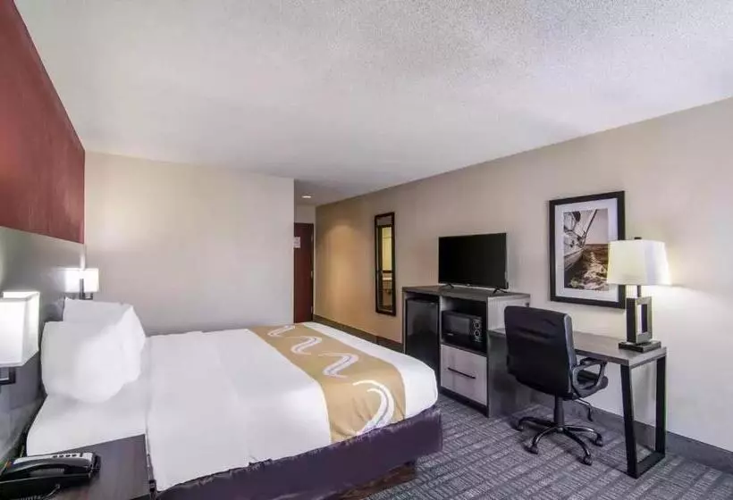 キングサイズベッドのスタンダードルーム, Quality Inn Near University Of Mobile