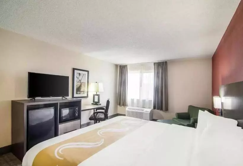 キングサイズベッドのスタンダードルーム, Quality Inn Near University Of Mobile