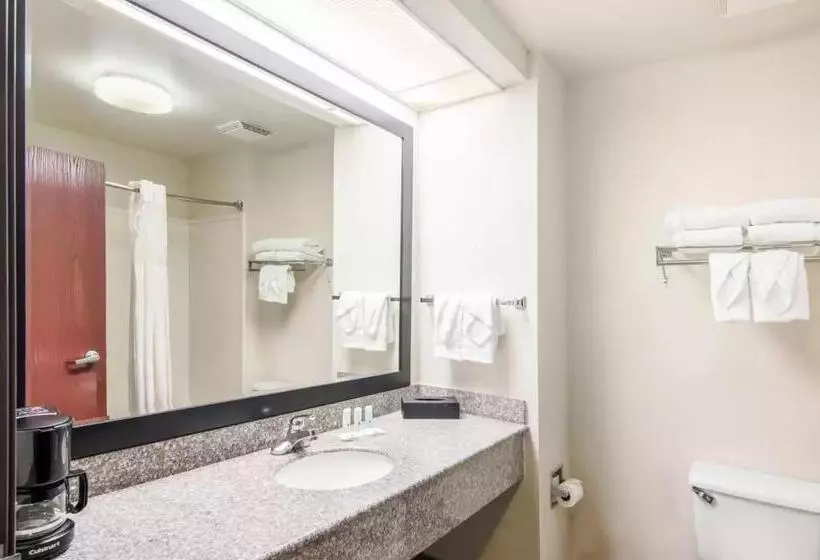 キングサイズベッドのスタンダードルーム, Quality Inn Near University Of Mobile