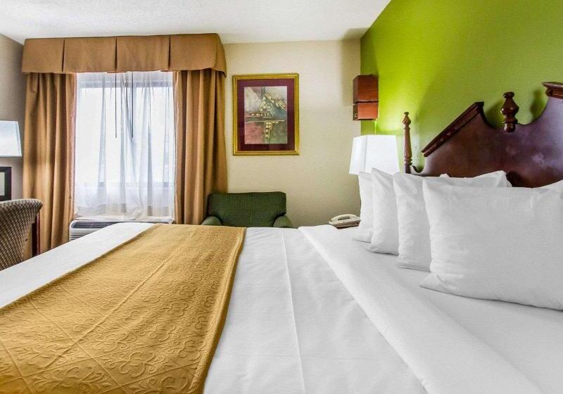 带大床的标准间, Quality Inn Near University Of Mobile