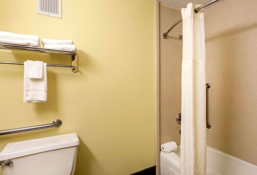 Номер Стандарт 2 Двуспальные Кровати, Quality Inn & Suites Baton Rouge West  Port Allen