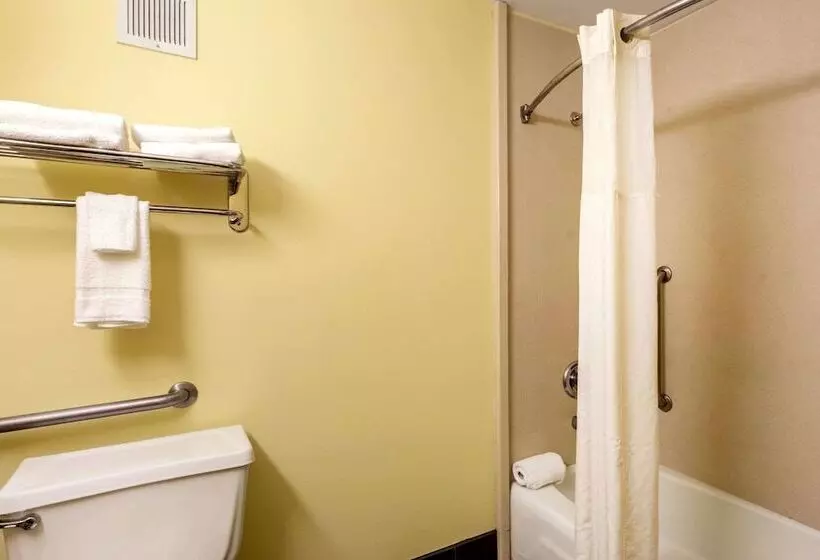 ２ダブルベッドのスタンダードルーム, Quality Inn & Suites Baton Rouge West  Port Allen