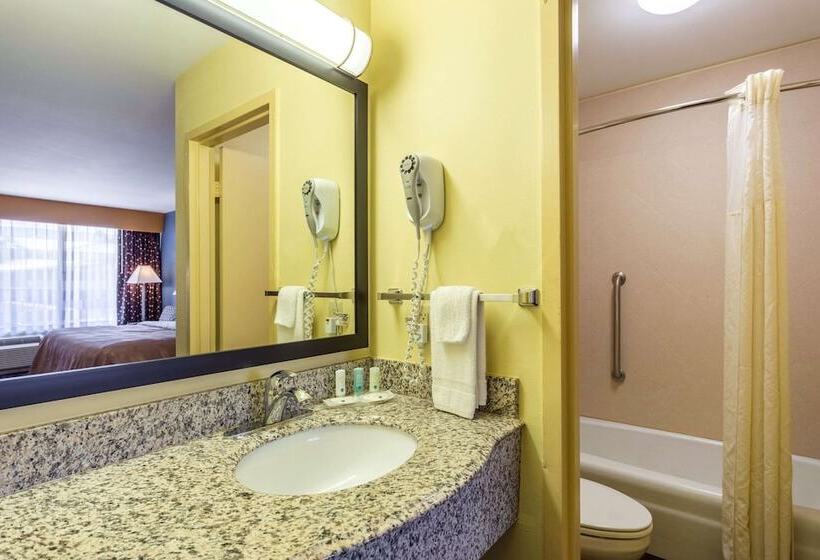 Номер Стандарт 2 Двуспальные Кровати, Quality Inn & Suites Baton Rouge West  Port Allen
