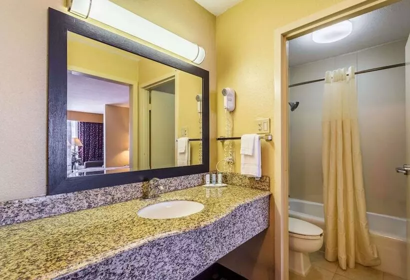 スイート, Quality Inn & Suites Baton Rouge West  Port Allen