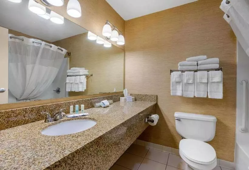 Standard-huone King-vuode, Quality Inn & Suites Benton Draffenville