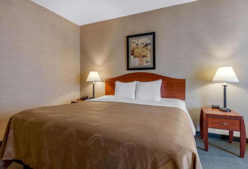 스탠다드 룸 킹사이즈 침대, Quality Inn & Suites Benton  Draffenville