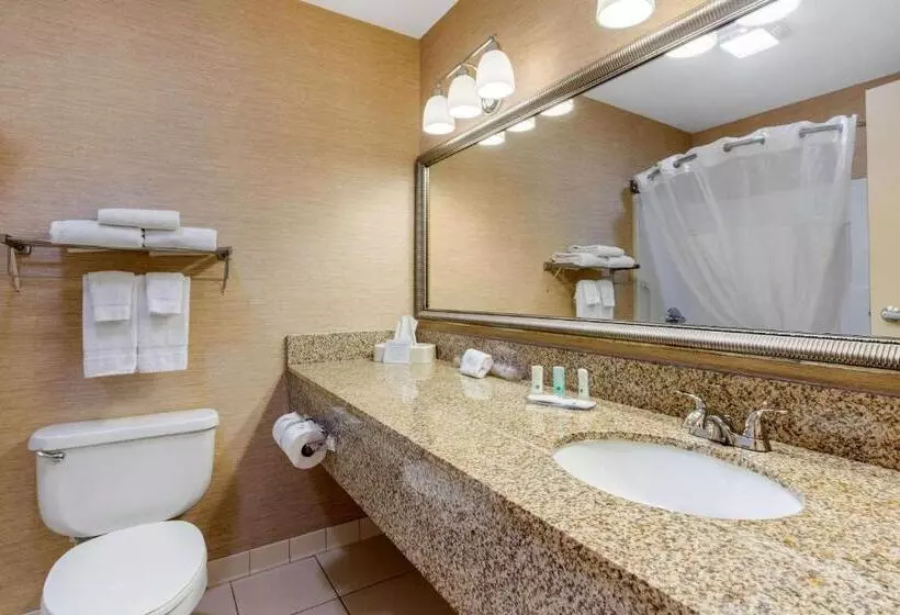 Sviitti King-vuode, Quality Inn & Suites Benton Draffenville