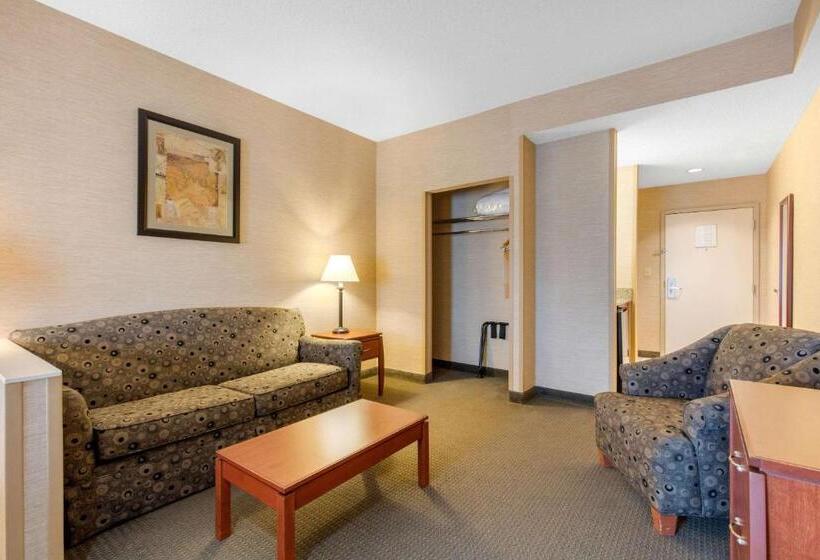 스위트 킹사이즈 침대, Quality Inn & Suites Benton  Draffenville