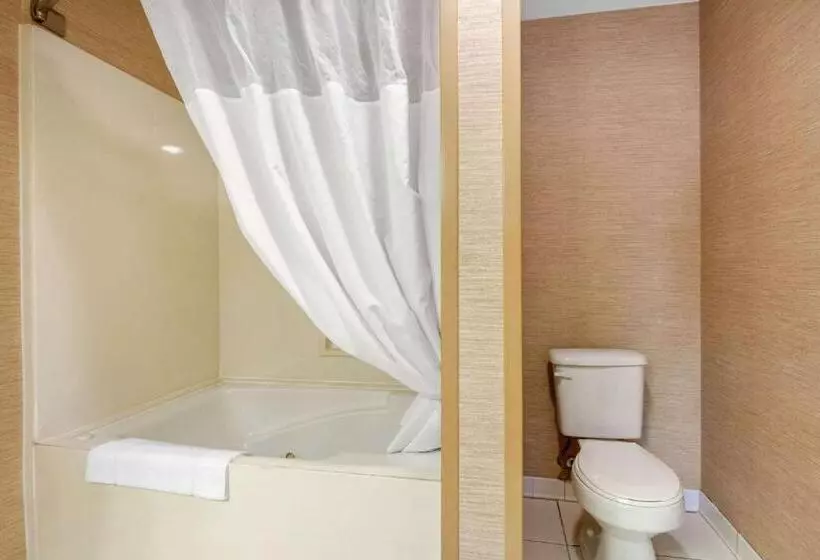 Superior-sviitti, Quality Inn & Suites Benton Draffenville